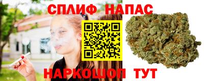 трава Ачхой-Мартан