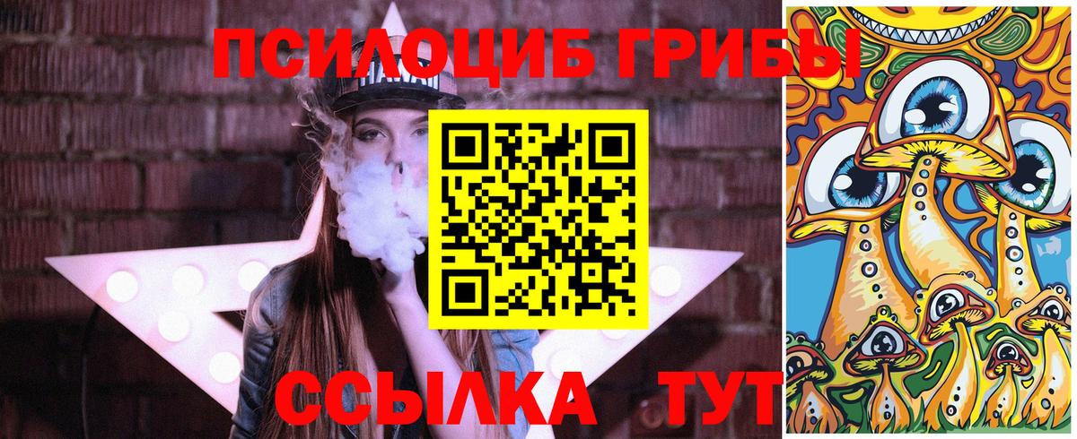 Псилоцибиновые грибы Cubensis  Вход с VPN  Артёмовский 
