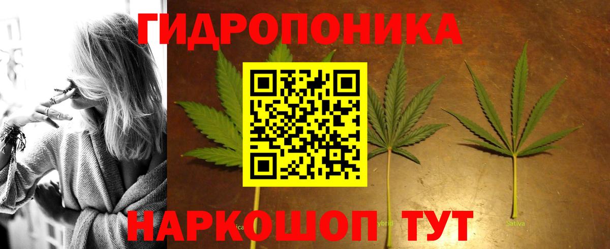 Бошки марихуана VHQ Артёмовский